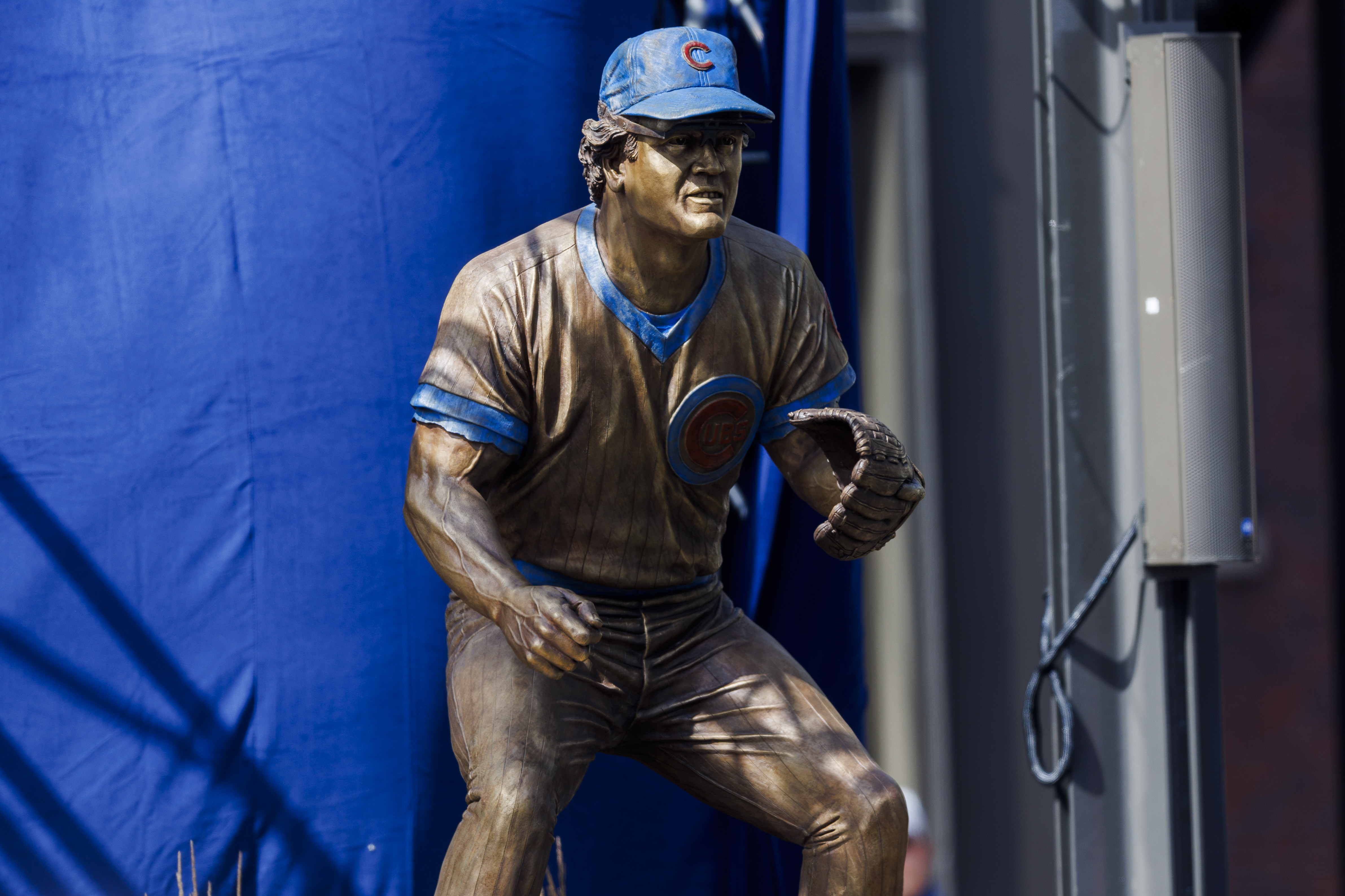 A statue of former Cubs player Ryne Sandberg sits in Gallagher Way during a dedication ceremony outside Wrigley Field Sunday June 23, 2024 in Chicago. (Armando L. Sanchez/Chicago Tribune)