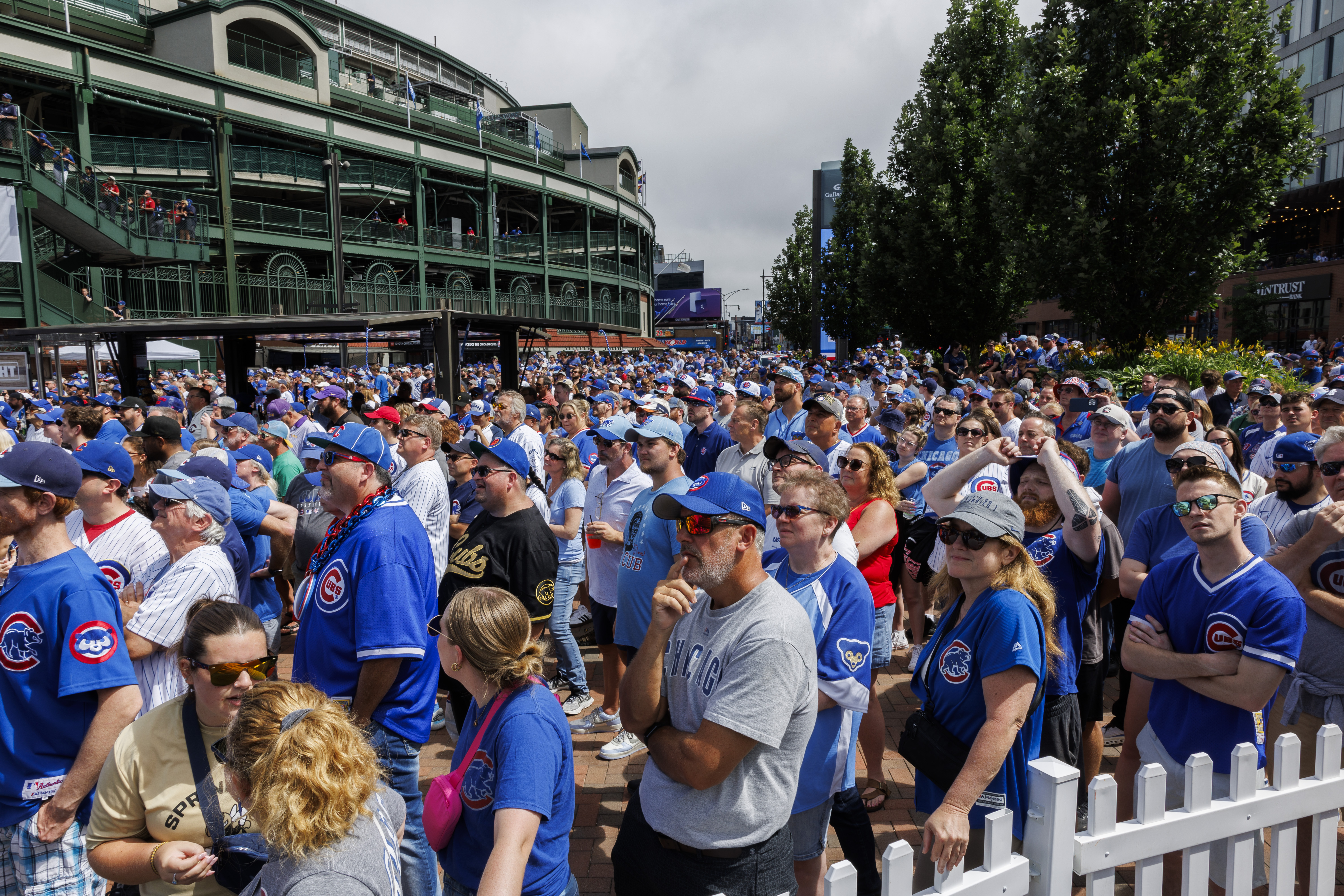 Fans attend a statue dedication ceremony for former Cubs player Ryne Sandberg outside Wrigley Field Sunday June 23, 2024 in Chicago. (Armando L. Sanchez/Chicago Tribune)