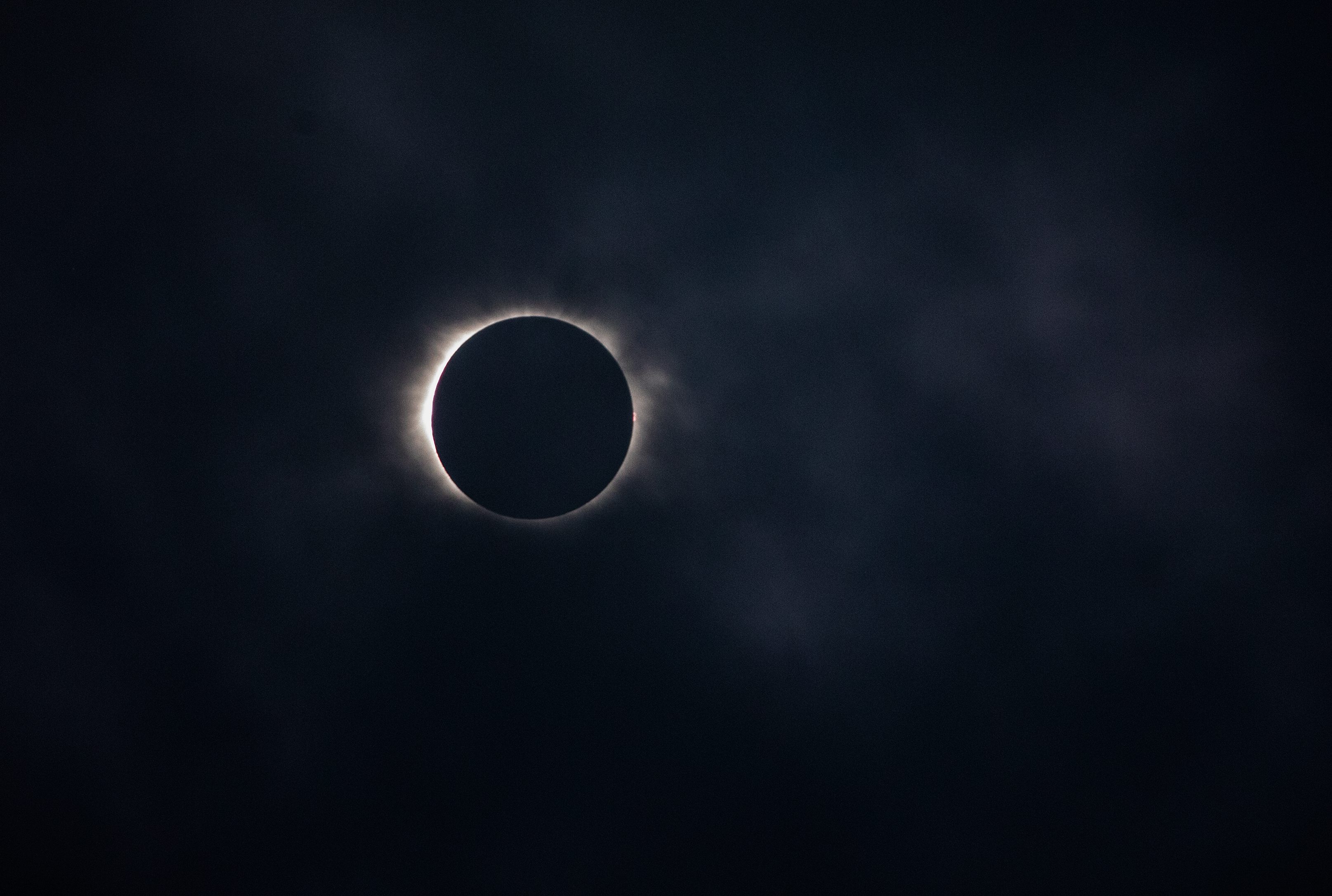 The solar eclipse is seen in totality at the campus of Southern Illinois University in Carbondale on Aug. 21, 2017. (Zbigniew Bzdak/Chicago Tribune)